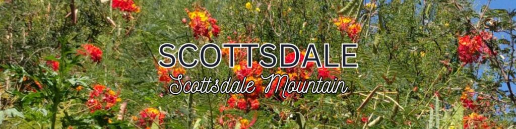 scottsdale mountain homes for sale 2024, scottsdale mountain houses for sale 2024, how do sell my house in scottsdale mountain, best scottsdale mountain real estate agent